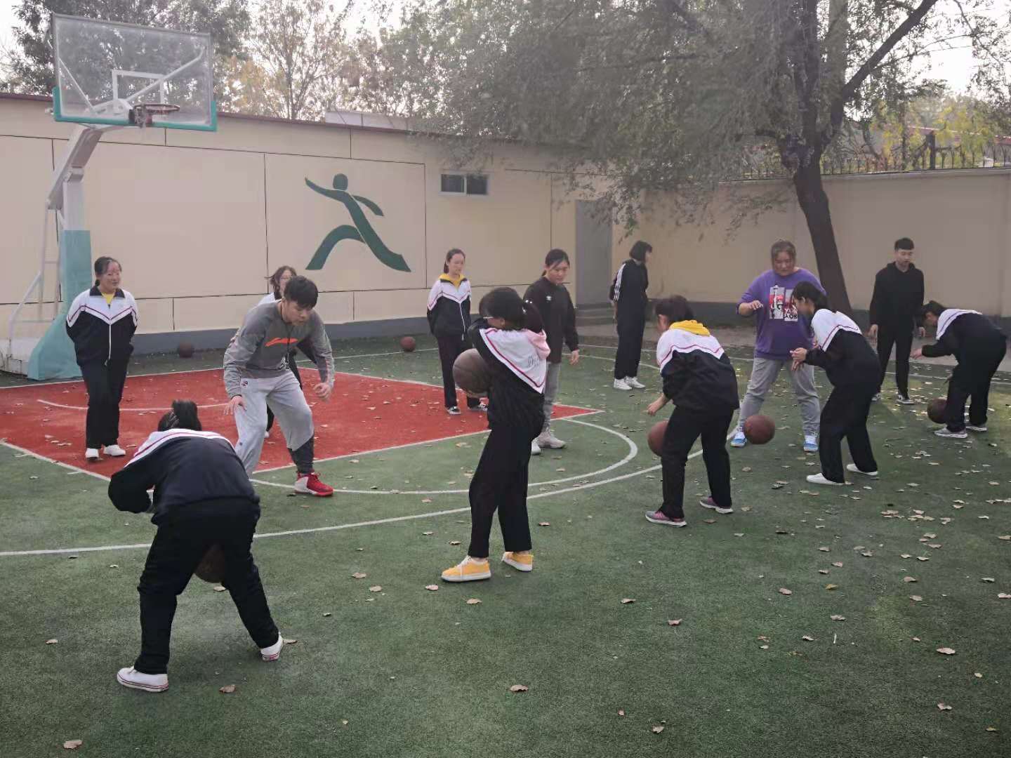 黑白体育手机版