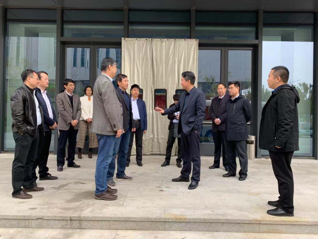 黑白体育手机版